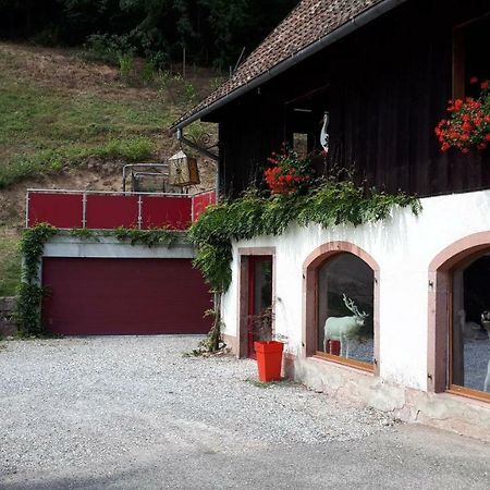 Apartament Le Moulin Des Automates Fréland Zewnętrze zdjęcie