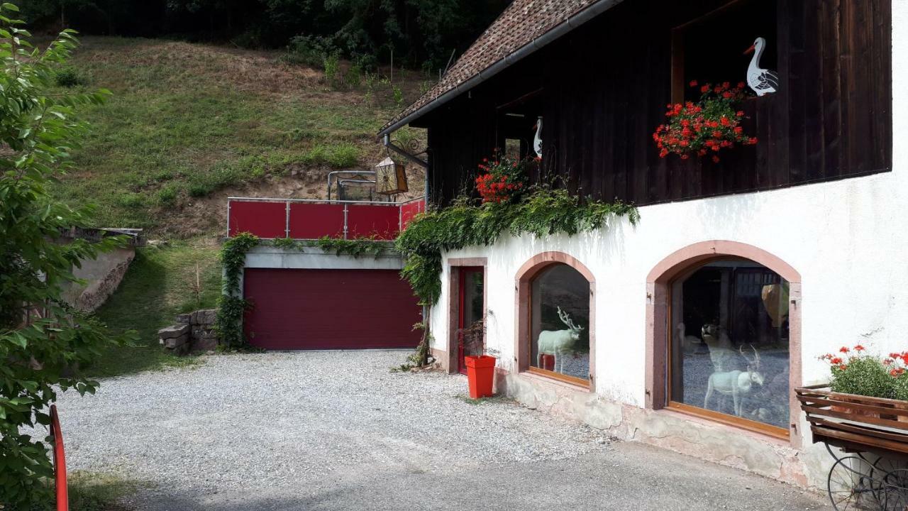 Apartament Le Moulin Des Automates Fréland Zewnętrze zdjęcie